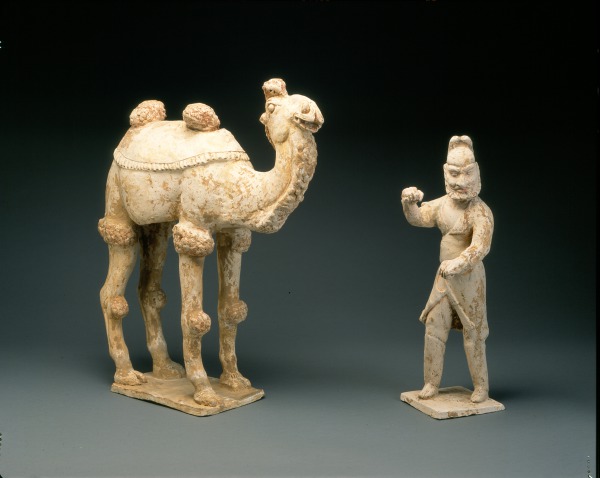 Bactrian camel (Camello bactriano)
