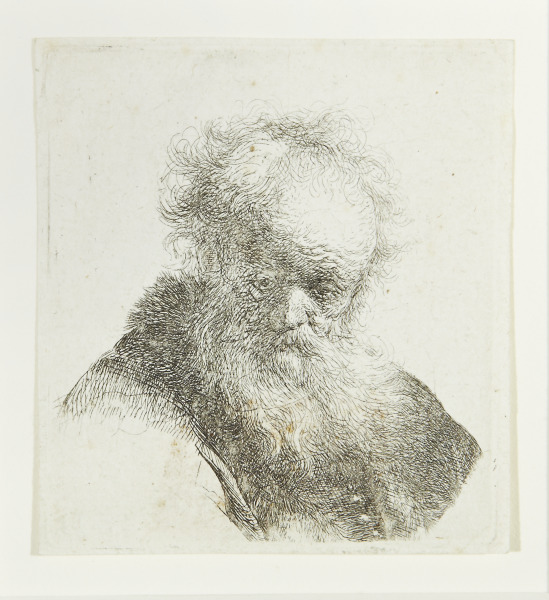 Bust of an Old Man with a Flowing Beard (Busto de un anciano con barba suelta)