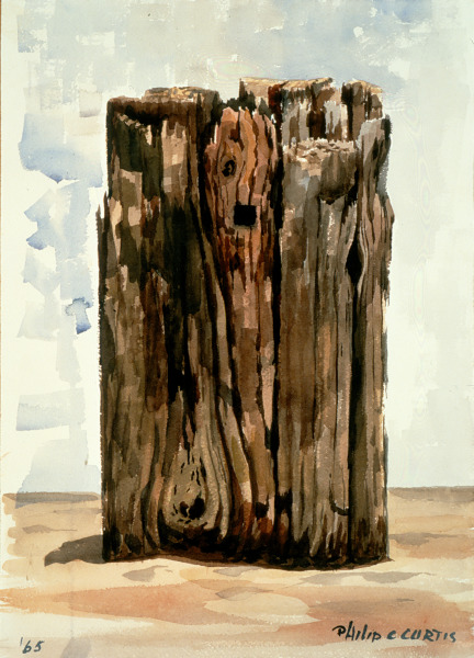 Tree Stump (Tocón)