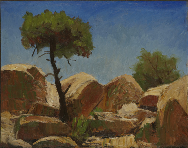 Piedras con árboles, Arizona [Árbol con rocas]