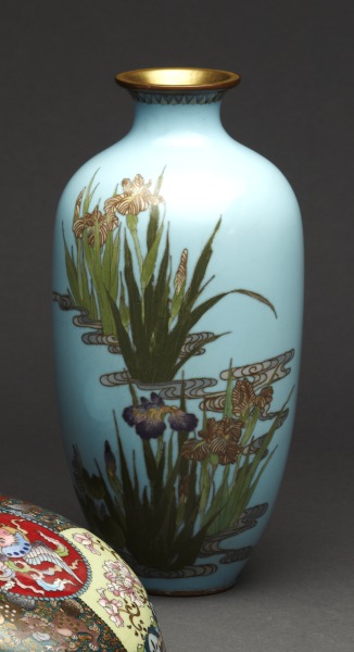 Vase with iris flowers in water (Florero con flores de iris en agua)