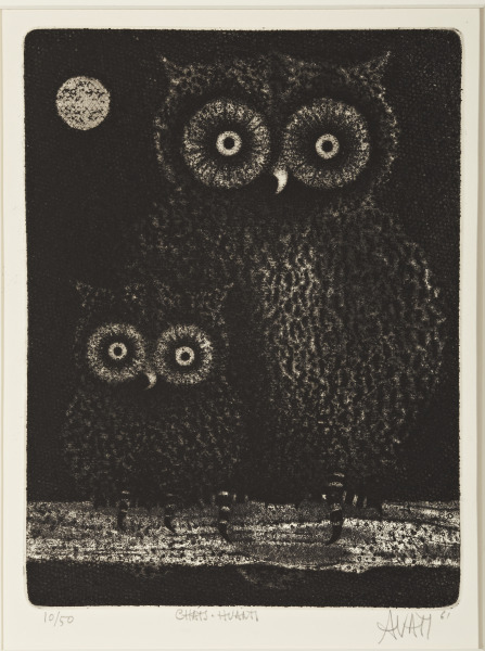 Chats – Haunts (Wood-owls) (Lechuzas de madera)