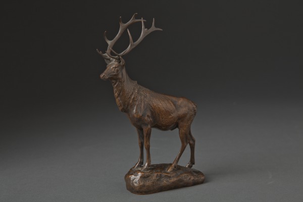 Elk (Uapití)