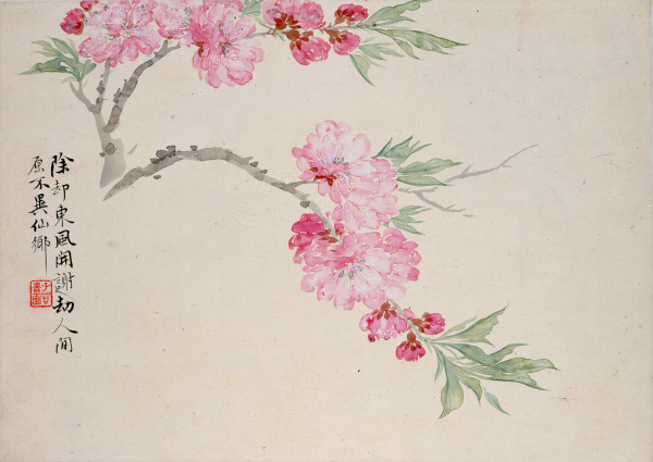 Flowers (Peach Blossoms) (Flores [flor de durazno])