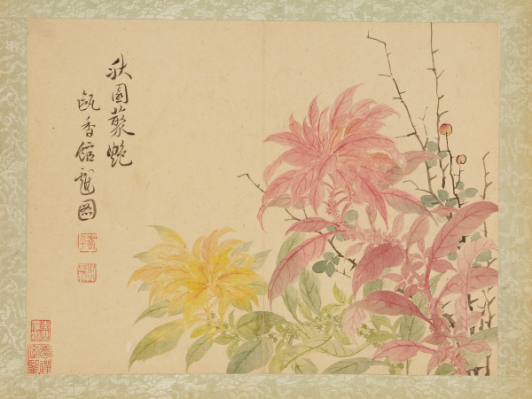 Album of Flowers, Bamboo, Fruits and Vegetables (Álbum de flores, bambú, frutas y verduras)