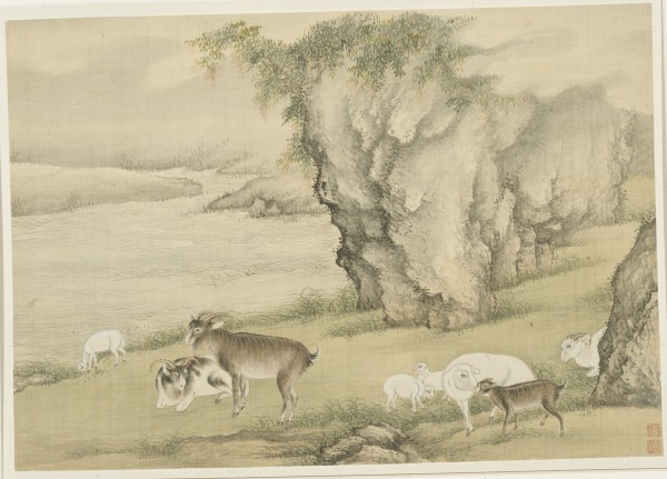 Sheep and Goats (Ovinos y caprinos)