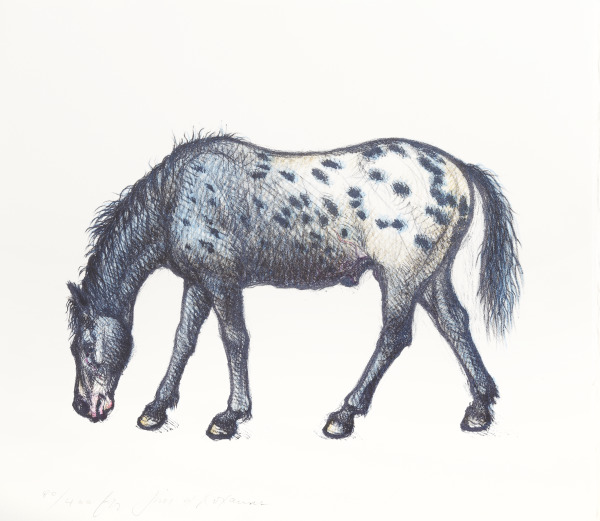 Horse (Caballo)